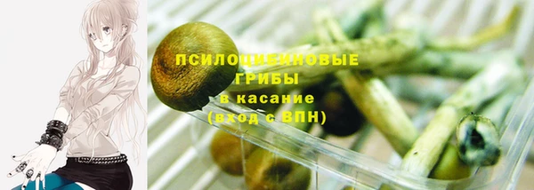 ГАЛЛЮЦИНОГЕННЫЕ ГРИБЫ Армянск