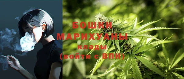 трава Баксан
